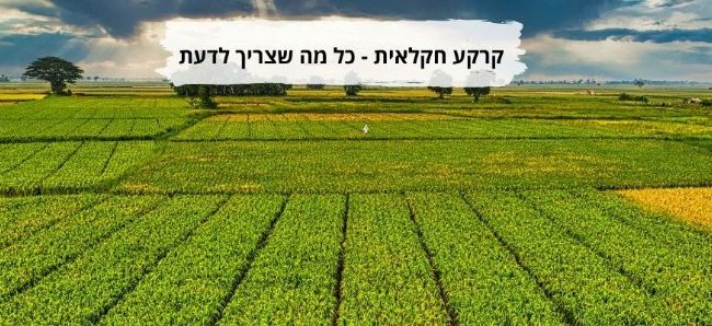 קרקע חקלאית כל מה שצריך לדעת