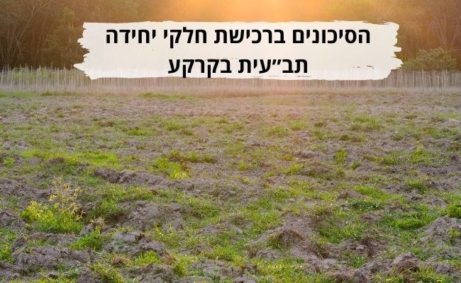 רכישת שליש קרקע